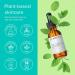ClarityRx Peace Of Mind: Calming Peppermint Aromatherapy Concentrate - Natural Plant-Based Essential Oil Face Treatment (1 fl oz) | Shop Internationally - Buy Online on GoSupps.com