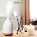 Premium Strawberry Essential Oils for Diffusers & Candle Making - 2x10ml Aromatherapy Fragrance Oil - Buy Online on GoSupps.com