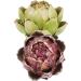 HOMSFOU 10 Pcs Artichoke Artificial Flower House Decorations for Home Plant Decor Household Decor Faux Artichokes Botanical Decor Home Decor Silk Flower Fake Vegetables Artificial Flowers - Buy Online on GoSupps.com