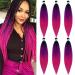UPruyo Colored Purple Pink Ombre Braiding Hair Extensions for Braids Kanekalon Prestretched Pre Stretched Braiding Hair Ombre Fake Synthetic Hair for Braiding (24 In 6 Packs) Pack of 6 (24 Inch) Black Pink Purple Ombre ...