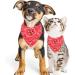 Adjustable Dog Bandana Headscarves for Small Dogs & Cats | Red Neckerchief (M) - Buy Online on GoSupps.com