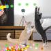 Jodsen Cat Toys Balls 50 Pcs Cat Pom Pom Balls & 1 Cat Toy Launcher Random Color Colorful Cat Balls Interactive Cat Toys with 50 Soft Cat Balls Plush Cat Ball Toy for Indoor Cats (50 Pcs) - Buy Online on GoSupps.com