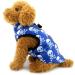 Smalllee Lucky Store Waterproof Dog Jacket | Winter Coat for Small Dogs & Cats | Chihuahua & Shih Tzu Sizes | Pet Clothes & Accessories - Mini L (Chest: 45cm Back: 38cm) - Blue - Buy Online on GoSupps.com