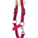 RL24 Halter with Plush Padding - BASICLINE in 6 Colors for Shetland Pony Thoroughbred & Warmblood - Magenta Pony - Buy Online on GoSupps.com