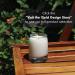 Yield 8oz Scarpa Candle - Luxury Palo Santo Leather & Vetiver Scent - Hand Poured Aromatherapy - 65 Hour Burn - Clean Burning Cotton Wick - USA Made - Buy Online on GoSupps.com