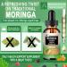Moringa Drops - Organic Moringa Leaf Extract Liquid with Turmeric Ginger Boswellia for Energy Skin Health Gut Health - High Absorption Green Superfood w/Essential Vitamins & Amino Acids - Buy Online on GoSupps.com