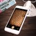 Magnifying Glass with Light 60x Zoom Microscope Magnifier LED + Uv Light Clip-on Micro Lens for Universal Mobile Phones Universal Clamp for Phone (60X with Clip Magnifier) - Buy Online on GoSupps.com