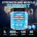 Creatine Monohydrate Gummies 5000mg - Sugar Free Vegan 120 Chewable Gummies for Muscle Support & Energy Boost - Blueberry Flavor - Buy Online on GoSupps.com