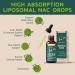 Liposomal Liquid NAC Supplement N-Acetyl Cysteine Drops N Acetyl Cysteine 600 mg with Quercetin & Zinc for Adults & Kids Liver & Lung Support Antioxidant Immune & Skin Health 2 Fl Oz 2 Fl Oz (Pack of 1) - Buy Online on GoSupps.com