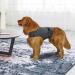 Ruiqas Anxiety Coat for Dogs - Lightweight Calming Jacket & Wrap Vest for Anxious Pets | Soothing Comfort in Grey Marl - XXL - Buy Online on GoSupps.com