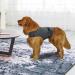 Yuehuam Dog Anxiety Relief Coat Dog Anxiety Calming Vest Jacket for Thunderstorm Breathable Dogs Shirts with Reflective Strip Puppy Anxiety Calming Vest Wrap Heather Grey S - Buy Online on GoSupps.com