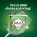 Cascade Dishwasher Detergent Pods Actionpacs Dishwasher Pods Fresh Scent 60 Count Original 60 count (Pack of 1) - Buy Online on GoSupps.com