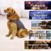 Thunder Dog Wrap Fear Relief Jacket | Calming Coat for Pets | XXL Heather Gray with Reflective Stripes - Buy Online on GoSupps.com