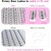 Premade Fans Eyelash Extensions 12D-D-0.07-12 Premade Volume Lash Extensions 320 Fans Pointed Base Fans 0.07 Premade Volume Fans C D Curl(12D-D-0.07-12) 12 mm 12D-D-0.07 - Buy Online on GoSupps.com