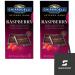 GHIRARDELLI Intense Dark Chocolate Bar Raspberry 3.5 oz (Pack of 2) Bundle With Snack Scout Lunch Bag