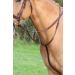 Shires Aviemore Running Martingale Choose Colour & Size Small Pony Havana - Buy Online on GoSupps.com