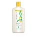Andalou Naturals Shampoo Brilliant Shine For Strength and Vitality Sunflower & Citrus 11.5  fl oz (340 ml)