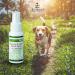 JADIENCE 2oz Pet Sore Muscle Pain Relief Spray | Natural Herbal Healing for Hip & Joint Care | Soothes & Supports Old & Young Animals | EnlightAPet - Buy Online on GoSupps.com