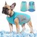 Light dog cooling vest safe breathable sundery dog T-shirt UV protection cooling dog jacket with reflective strip for spring summer for small to medium-sized dogs L blue