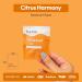 FOMIN Acidified Travel Deodorant Wipes For Women & Men - 30 Count - Citrus Harmony - pH Balanced Mini Deodorant Travel Size Wipes - Plastic-Free Individually Wrapped Underarm Body Wipes Citrus Harmony 15 Count (Pack of 2) - Buy Online on GoSupps.com