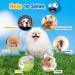 Holysteed Dog Toys for Small Dogs - Squeaky Latex Puppy Toys Soft Multicolored Burger Shape - 6 Pieces (5.5 x 3.5 cm) - Buy Online on GoSupps.com