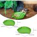 Reptile Leaf Food Water Bowl Green Tortoise Water Dish Food Feeding Plate Turtle Terrarium Accessories Outside for Lizards Hamsters Snakes Pet Aquarium Ornament (Large & Small) - Buy Online on GoSupps.com