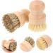 Solustre 6 Pack Rinse Brushes - Multi-Purpose Bathroom & Kitchen Cleaning Brushes with Wooden Handle - Ideal for Pots Crockery & More - Buy Online on GoSupps.com