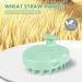 Hience Scalp Massage Brush Set - 2 Pcs Hair Growth & Anti-Dandruff Shampoo Brush | Eco-Friendly Wheat Straw & Soft Silicone Bristles | Mint Green & Beige - Buy Online on GoSupps.com