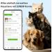 Personalized Dog Stamps & Engraved QR Code Pendants for Dogs & Cats - Customizable Pet Profiles & Name Tags - Buy Online on GoSupps.com