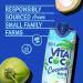 Vita Coco Organic Coconut Water 11.1 Oz (Pack of 12) | Refreshing Taste, Natural Electrolytes & Nutrients - Buy Online on GoSupps.com