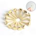 Hapy Shop Paper Fasteners Medium 3/4-Inch Brass Plated Scrapbooking Brads Round Metal Brads for Crafts Making DIY 300 Pack - Buy Online on GoSupps.com