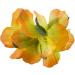 Hula Girl Hibiscus Flower Hair Clips - 12 Pack, Assorted Colors, Perfect for Events & Decor - Buy Online on GoSupps.com