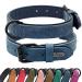 Didog dog collar made of soft padded leather hard-wearing leather dog collar with adjustable stainless metal buckle for small medium-sized and large dogs blue L L: 33-40 cm blue
