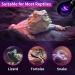 LUCKY HERP Reptile Night Heat Bulb 50W Night Heat Lamp Bulbs for Reptiles 2 Pack Reptiles & Amphibians Basking Spot Light Bulb for Bearded Dragon Lizard Snake Turtle Chameleon - Buy Online on GoSupps.com