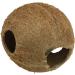 JBL 61514 Coconut Shell Cave for Aquariums & Terrariums - Cocos Cava 1/1 MM | International Shipping Available - Buy Online on GoSupps.com
