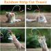 Molain Cat Magic Wand 3Pcs - Rainbow Ribbon Toys for Kittens | Interactive Training & Exercise Catcher (30cm) - Buy Online on GoSupps.com