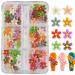 Colorful 3D Flower Nail Charms - Acrylic Nail Supplies for Gel Nails Design - Buy Online on GoSupps.com
