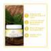 Organic Lemon & Olive Cuticle Balm (1 Fl. Oz) by Makes 3 Organics - Buy Online on GoSupps.com