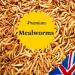 UK GROW 5L Premium Dried Mealworms - High-Quality 5 Litre Pack - Buy Online on GoSupps.com