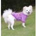 Buy Hualisiji Small Dog Chihuahua Sweater - Warm & Lightweight Hoodie | Soft Texture & Elasticity (Purple Lila L) - Ideal for Stylish Pets - Buy Online on GoSupps.com