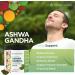 Fantastic Nutrition Ashwagandha Gummies - 120 Count | Reduce Stress, Boost Memory, Enhance Mood, Improve Sleep | Vegan, Gluten & Gelatin Free | Natural Strawberry Flavor - Buy Online on GoSupps.com