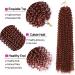 Passion Twist Hair - 7 Packs 24 Inch Water Wave Crochet Hair Extensions for Long Bohemian Braiding - Buy Online on GoSupps.com