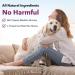 UT AID Plus for Cats & Dogs - Feline Idiopathic Cystitis & Urinary Tract Infection Support Bladder Health Incontinence Relief - 30 Capsules - Buy Online on GoSupps.com