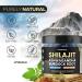 Organic Shilajit Gummies Sea Moss Ashwagandha 105+ Trace Minerals Organic Burdock Root & Lions Mane Mushroom - Blue Razz Vegan & Non-GMO Made in USA 60ct - Buy Online on GoSupps.com