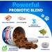 Probiotics for Dogs - Dog Probiotics Chewables - Support Gut Health Itchy Skin Allergies Immunity Yeast Balance - Digestive Enzymes with Prebiotics - Reduce Diarrhea Gas - 120 Probiotic Chews 120 Chews Advanced - Buy Online on GoSupps.com