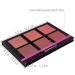 SHANY Shimmer & Matte Powder Blush Makeup Palette with Mirror - BLUSH - Powder Blush - Buy Online on GoSupps.com