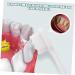 Frcolor 4-Pack Adult Toothbrush - Optimal Cleaning & Care for Healthy Teeth - Buy Online on GoSupps.com