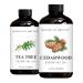 Brooklyn Botany Tea Tree & Cedarwood Essential Oils 4 Fl Oz (Pack of 2) 100% Pure & Natural Grounding & Clarifying Aromatherapy Blend