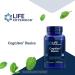 Life Extension Cognitex Basics - 30 Softgels for Enhanced Cognitive Support - Buy Online on GoSupps.com