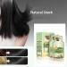 Natural Plant Dye Bubble Hair Dye Plant Coloring Cream Pure Plant Extract for Gray Hair Bubble Dye Plant Coloring Cream (Natural Black) - Buy Online on GoSupps.com